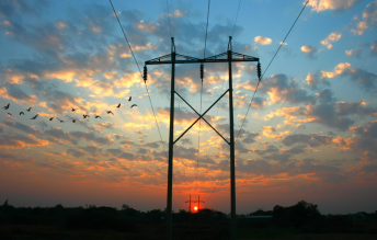 Transmission_Line